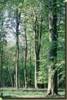 PARC AVESNOIS