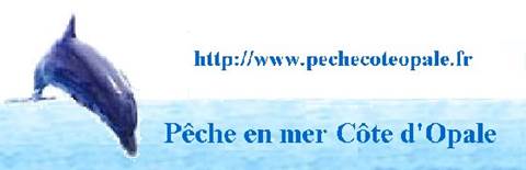 Pêche Plaisance Côte d'Opale